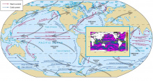Global Ocean Surface Current